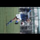 image 38 of 50